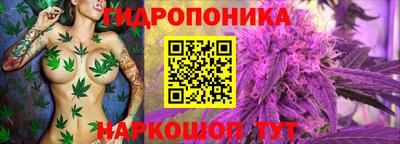 прущие грибы Бузулук