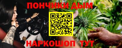 мдпв Будённовск