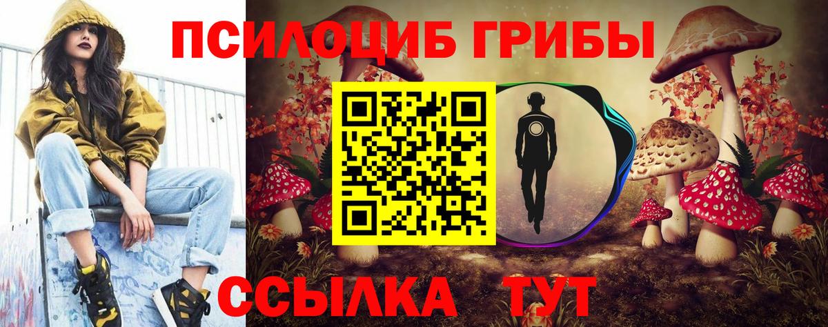Обь  Галлюциногенные грибы ЛСД  Вход с VPN 